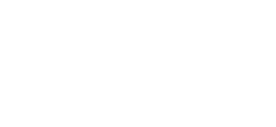 Blaze Shop