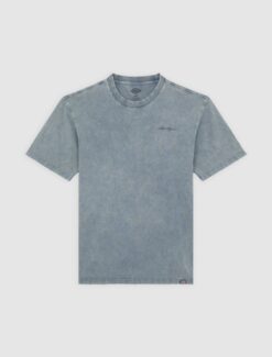 DICKIES T-Shirt Plentywood Stormy Weather