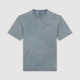 DICKIES T-Shirt Plentywood Stormy Weather