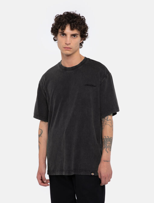 DICKIES T-Shirt Plentywood Black