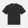 DICKIES T-Shirt Plentywood Black