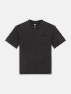 DICKIES T-Shirt Plentywood Black