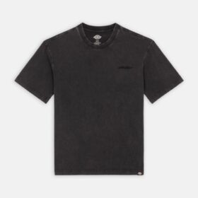 DICKIES T-Shirt Plentywood Black