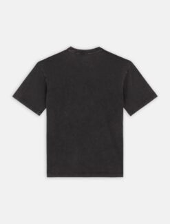 DICKIES T-Shirt Plentywood Black