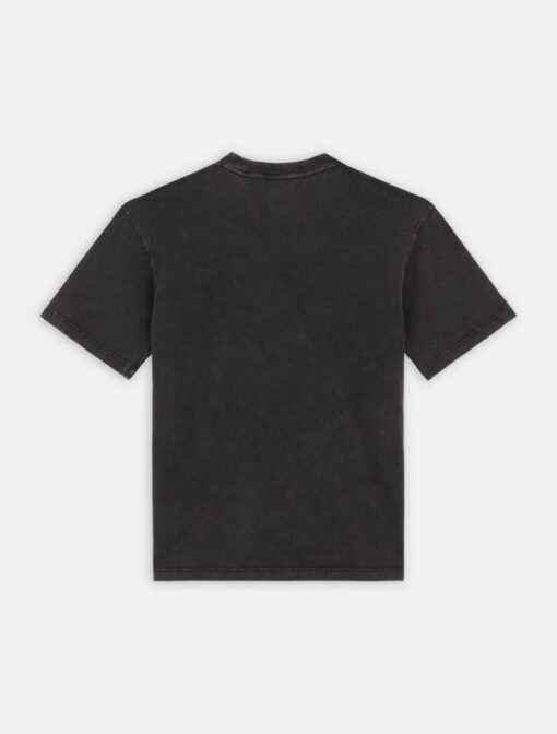 DICKIES T-Shirt Plentywood Black