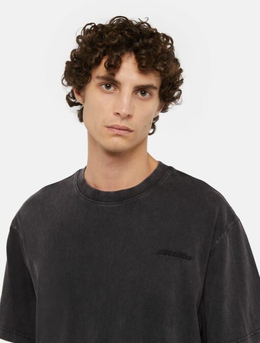 DICKIES T-Shirt Plentywood Black