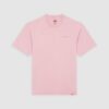 DICKIES T-Shirt Plentywood Pink